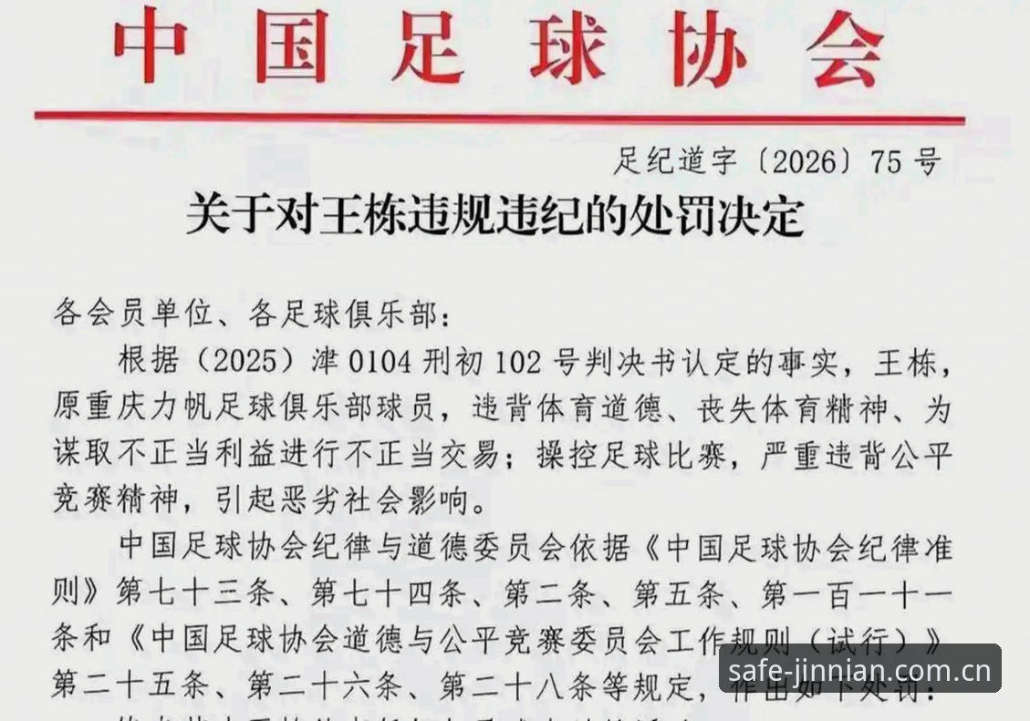 中国足协第三批禁足名单全面评测：金年会体育视角下的足球反腐深度分析